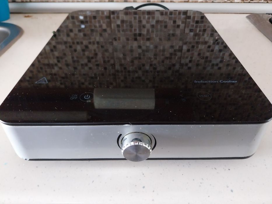 Disco elétrico de indução