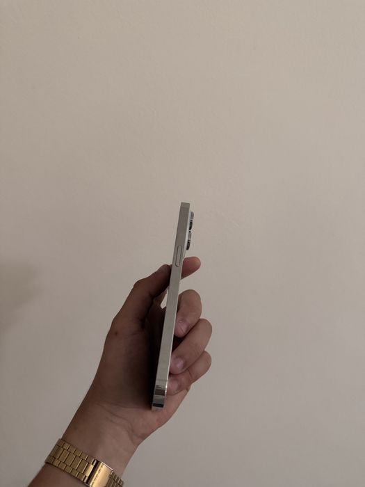 iPhone 14 Pro Max Silver