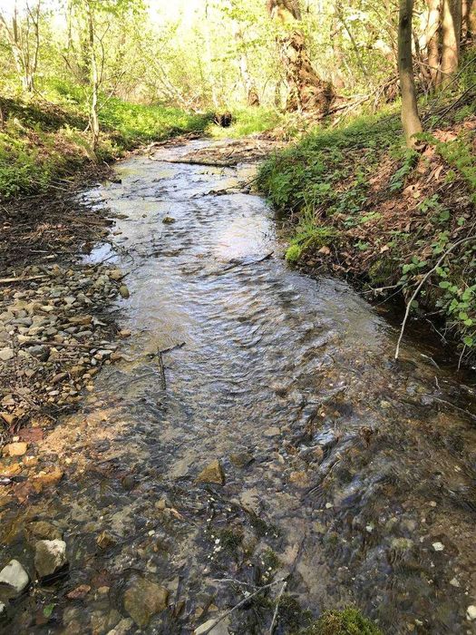 Продам земельну ділянку у Середкевичах під форелеве господарство .