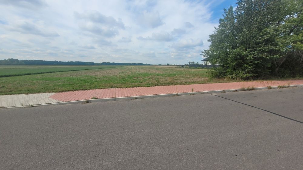 Dwie działki na sprzedaż z możliwością zabudowy – łącznie 2,21 ha | Paciorkowa Wola Nowa (gm. Zwoleń) - Widok 5