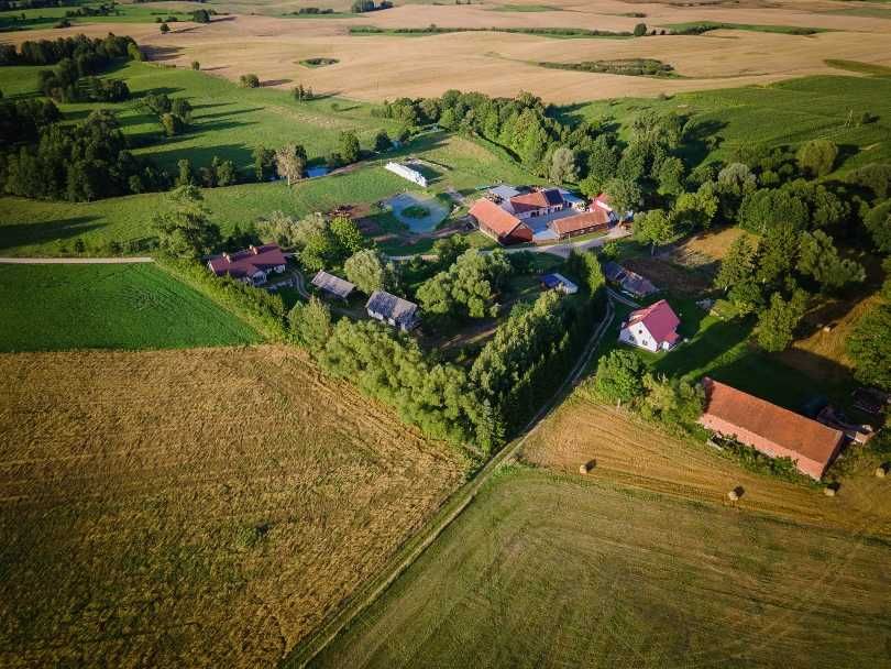 Zdjęcie 8