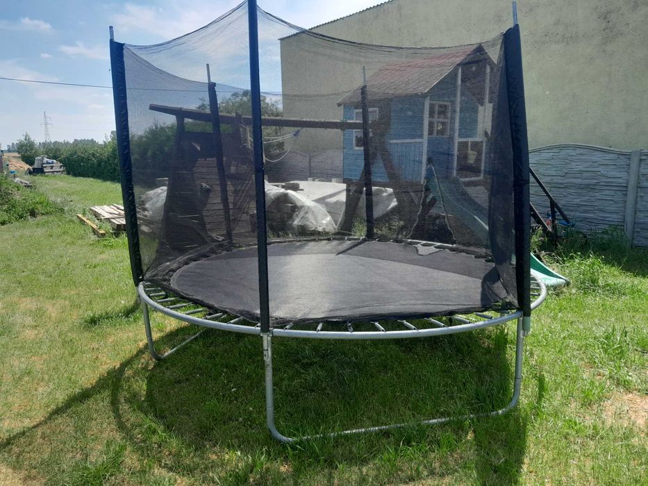 Trampolina trampolina