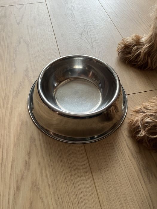 Miska dla psa lub kota