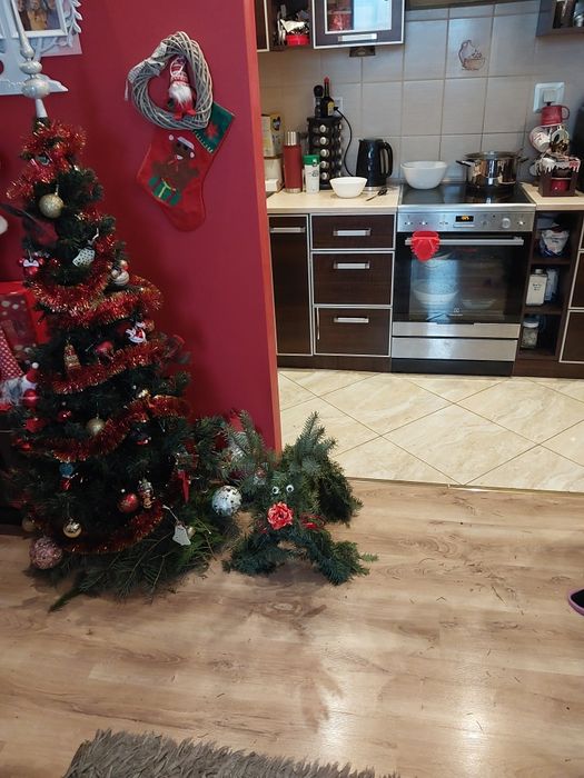 Wynajmę  mieszkanie