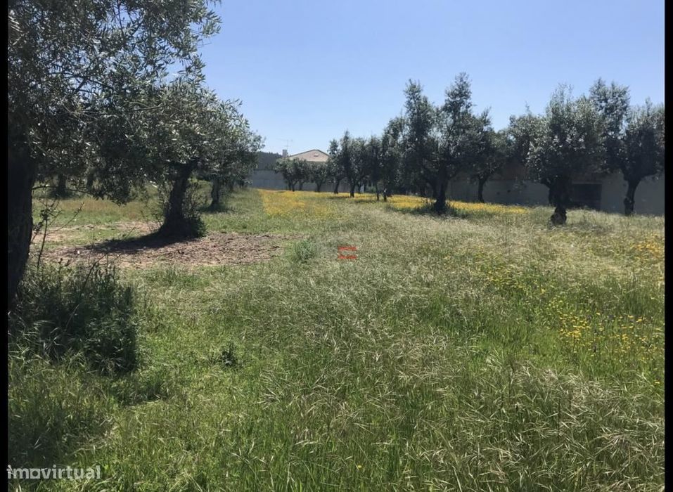Land with Construction Possibility