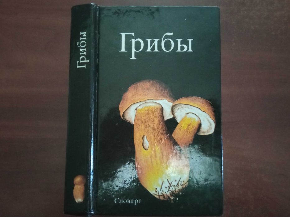 Аурел Дермек. Грибы