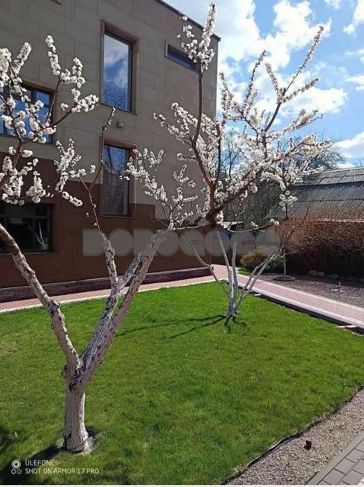 Продаж Триповерхового будинка. Вишневе.