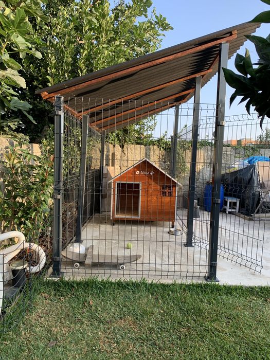 Canil doméstico fixo (sem casota)