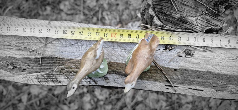 Наконечники стрел -скифы. Разное 

Разное