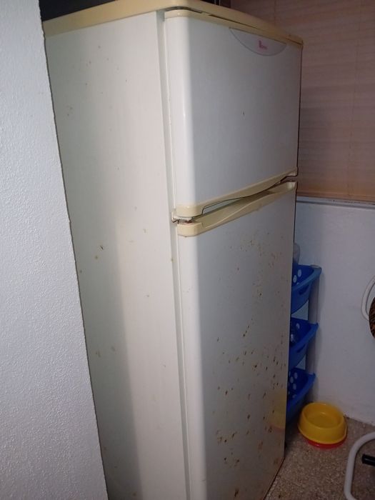 Frigorifico usado a funcionar