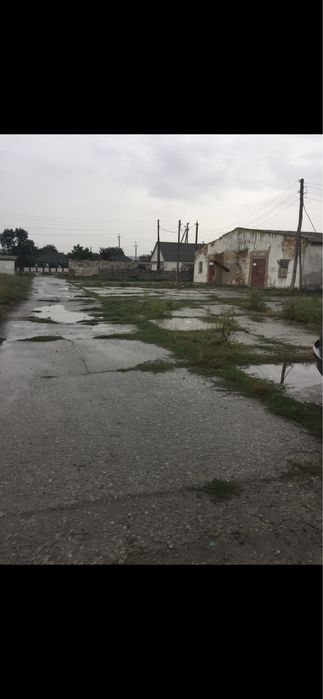 Сдам -  продам помещение под производство,склад,ферму,зернохранилище