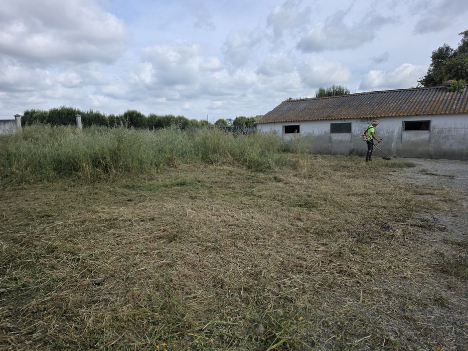 Limpeza de terrenos com roçadora