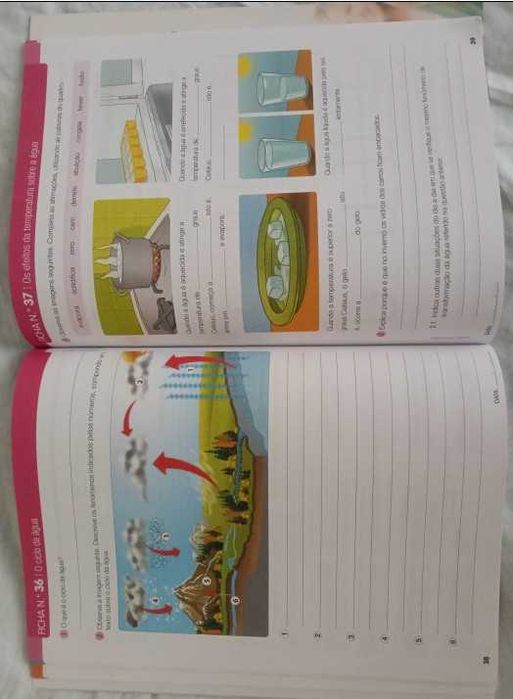 Estudo do Meio 4 Alfa LIvro de Fichas para o 4º Ano