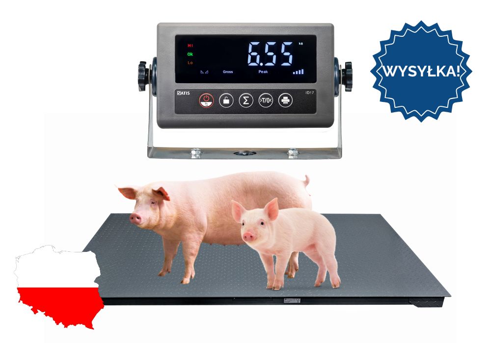 Waga inwentarzowa Do Zwierząt do 5000kg do krów świń 1,00x2,20 DOSTAWA