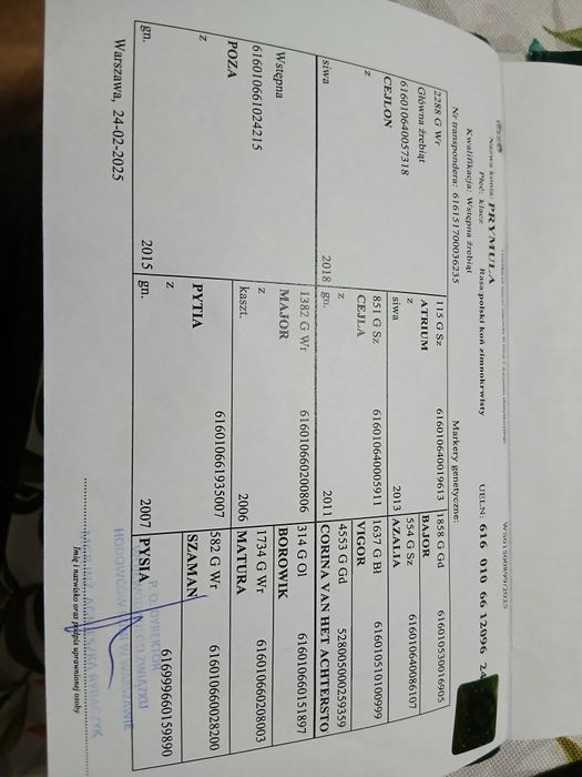 KlaczeZrebice zimnokrwiste