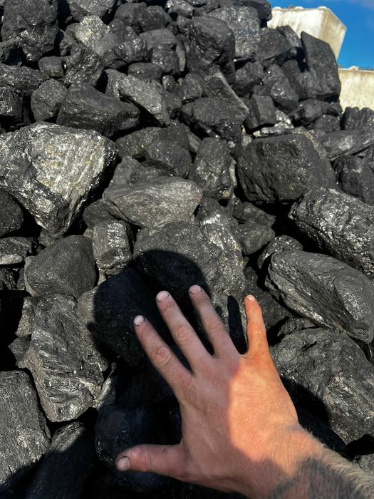 WĘGIEL Orzech, Kostka, Groszek, Miał ,PGG, TAURON