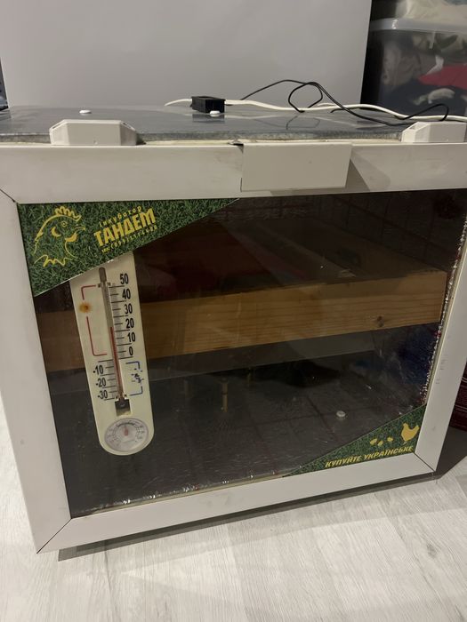 Інкубатор хороший