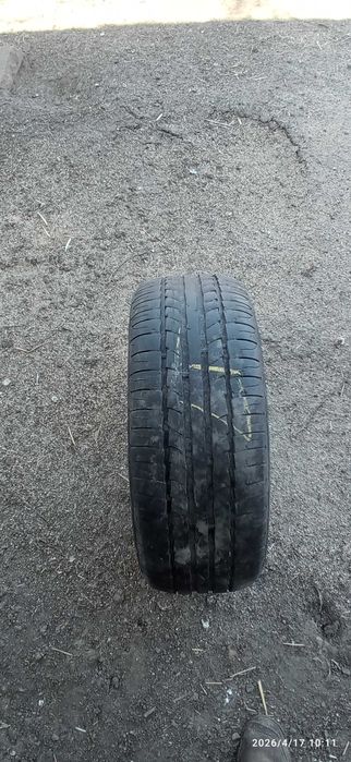 Opony letnie Dębica i wielosezonowe 205/55 r16
