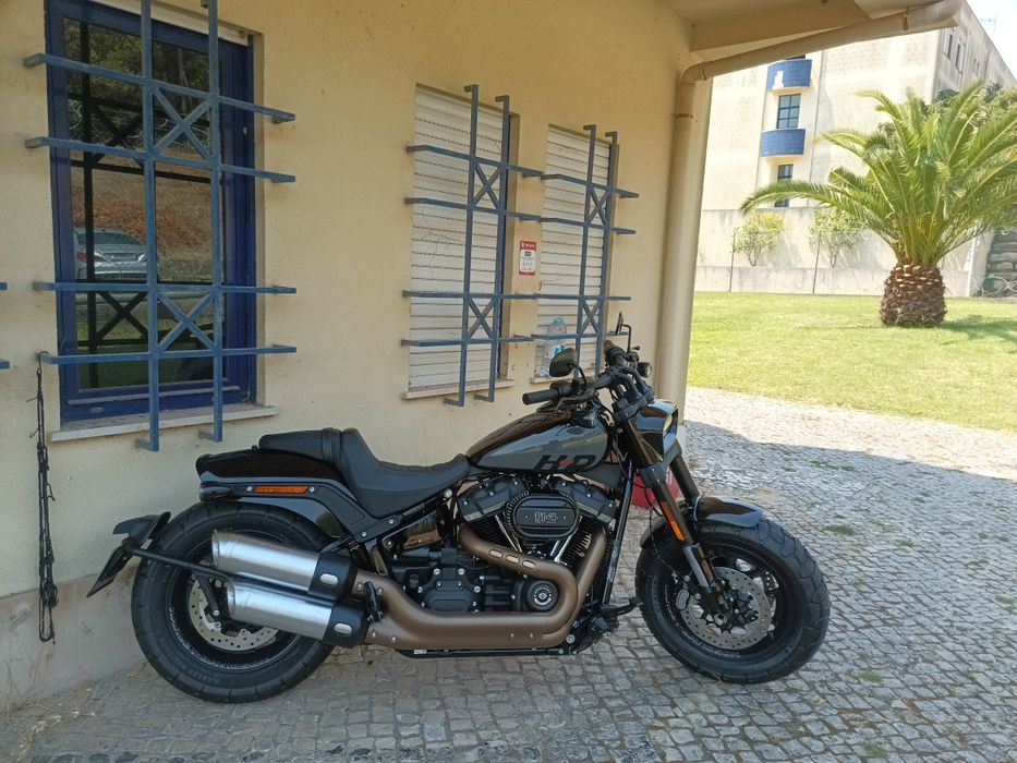 Escapes Fat Bob 2024