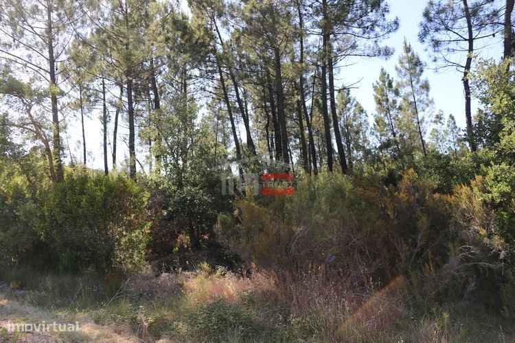 Terreno — Sabacheira, Santarém