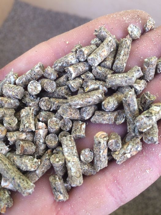 Гранульований комбікорм