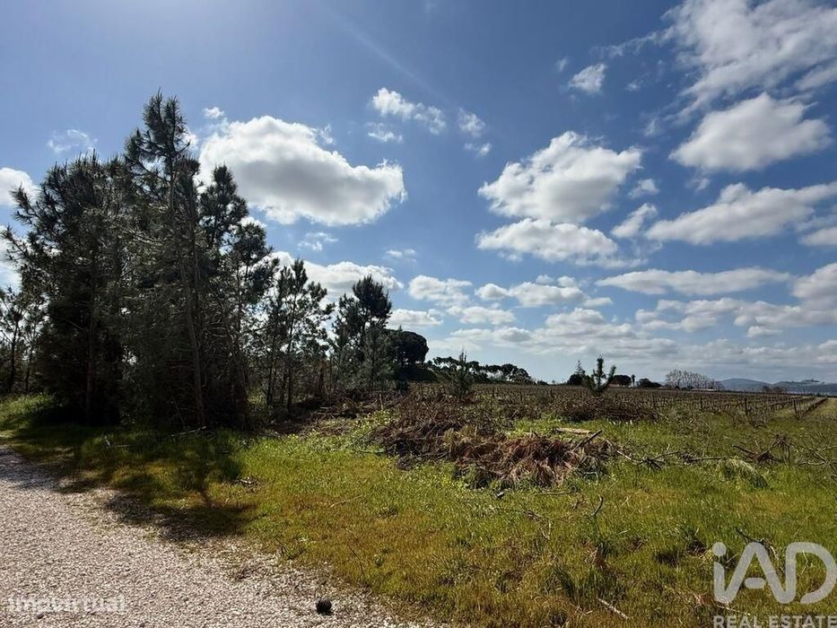 Terreno Agrícola em Palmela
