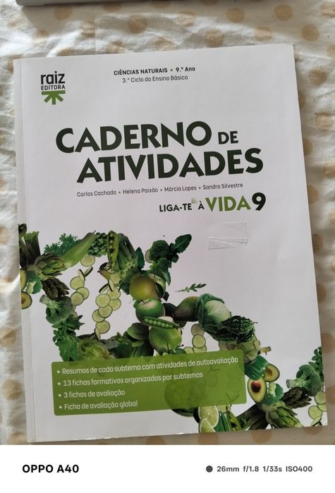 Cadernos de atividades 9 ano