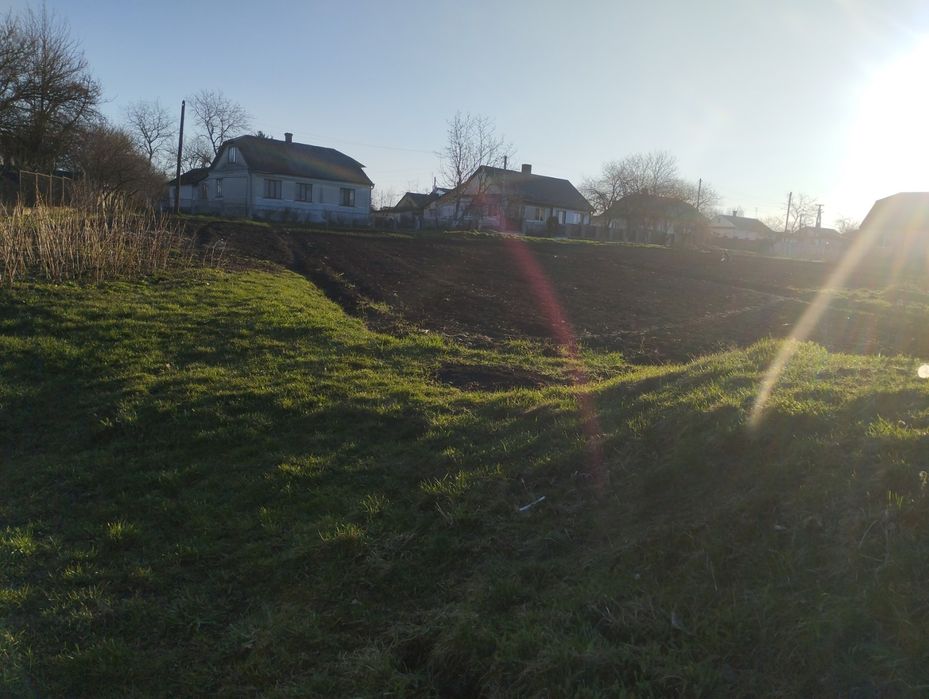 Будинок з земельною ділянкою