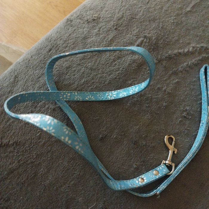 Smycz dla psa lub kota