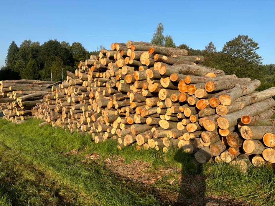 Drewno kominkowe/opałowe BUK lub GRAB