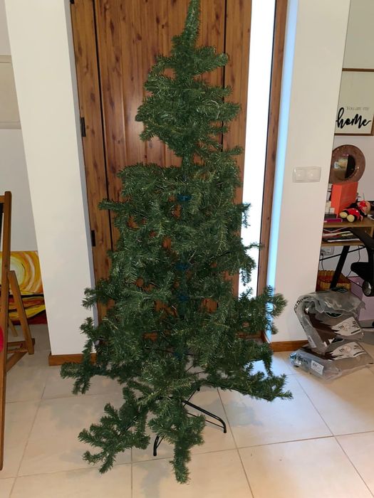 Vendo árvore de Natal