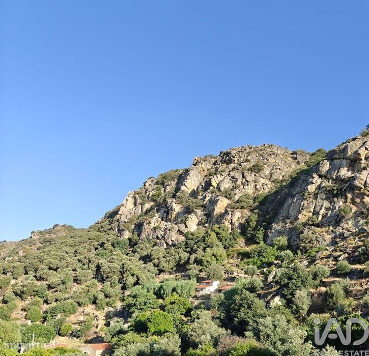 Quinta em Idanha-a-Nova e Alcafozes de 49 m2