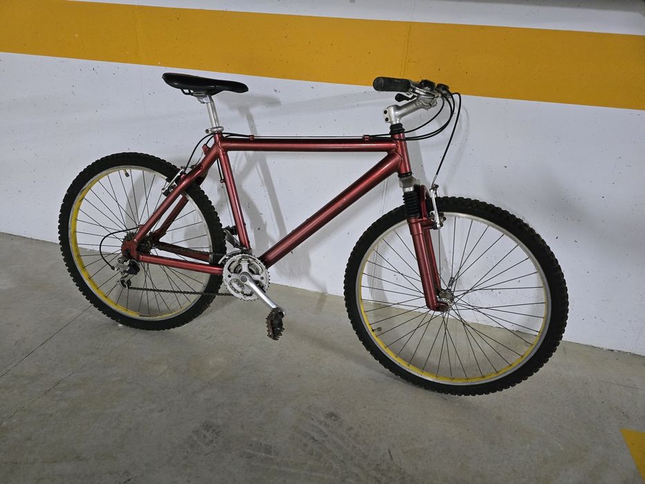 Bicicleta de montanha