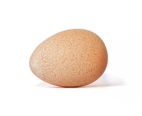 Jaja perlicze - sprzedam