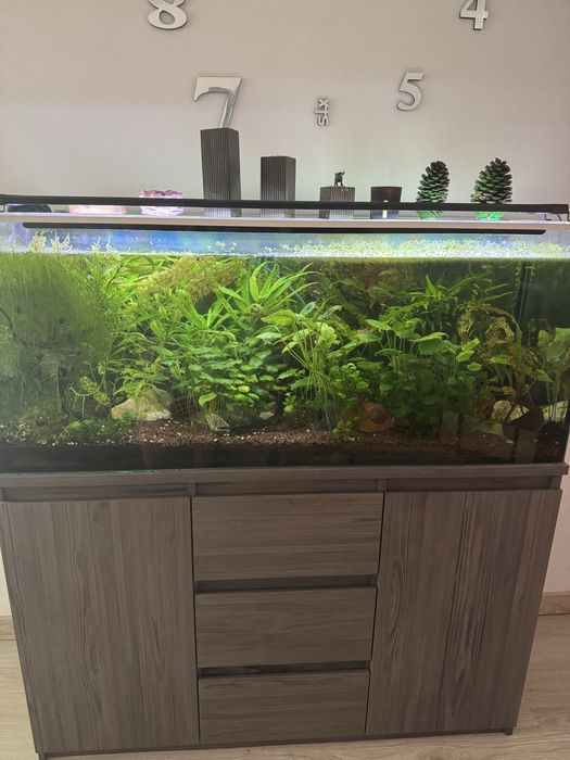 Aquário à venda – 210 litros