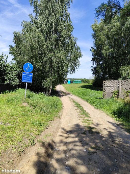 Zdjęcie 6