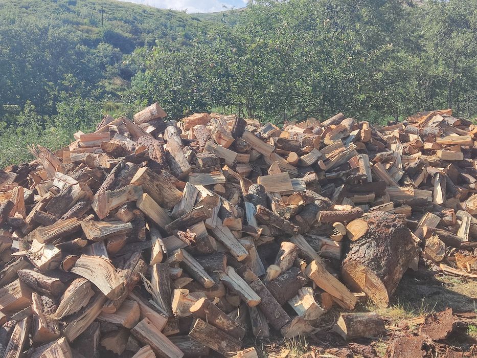 Venda de lenha seca