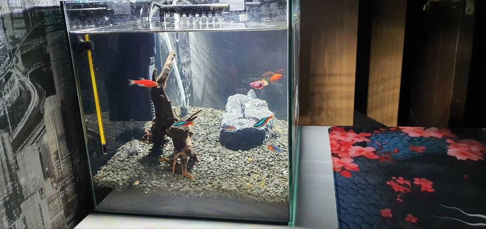 Продам акваріум 22 л