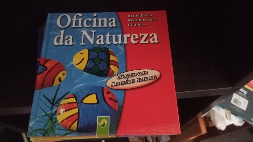 Vários livros pré escolar