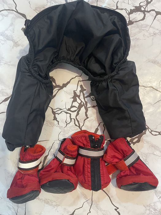 Зимний комбинезон и чопики для собачки