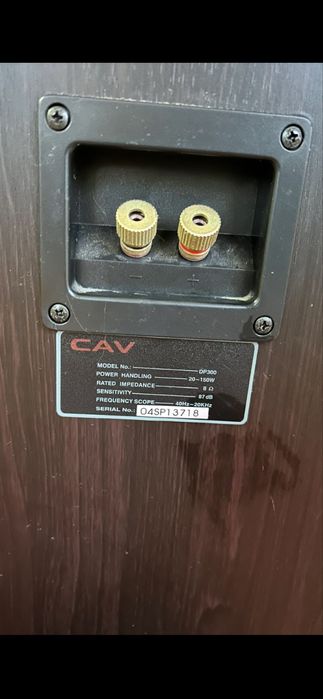 Колонки напольные CAV DP300, б/у.