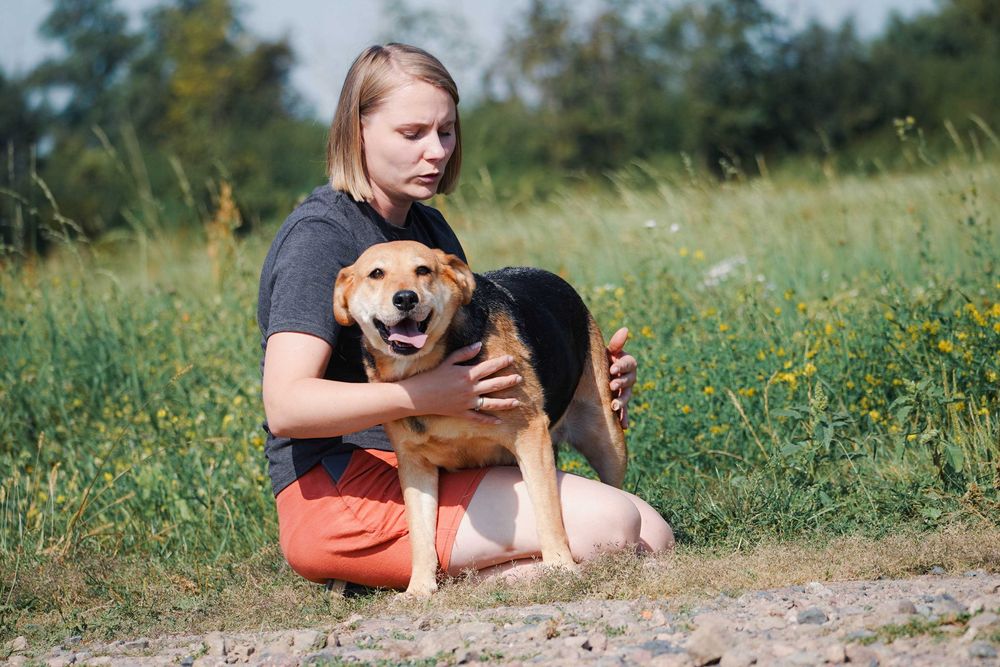 Helcia - cudowna sunia