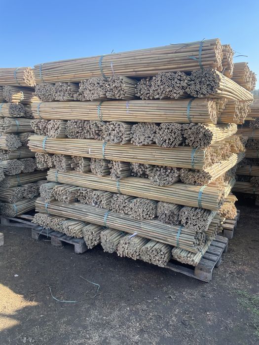 Tyczka Bambusowa Sadownicza 24/26 295. Szeroki wybór rozmiarów