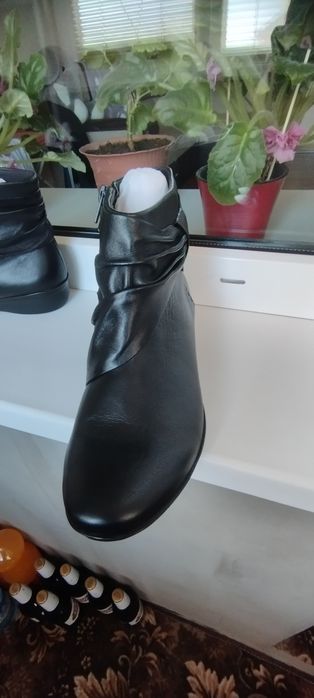 Стильні жіночі черевики фірми Clarks