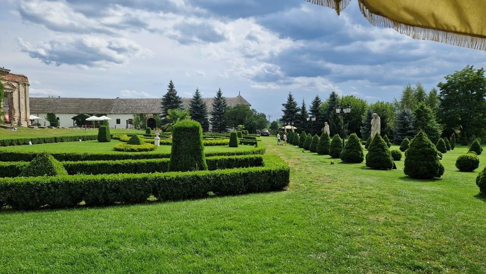 Cięcie przycinanie wycinka drzew Bełchatów Łódź Aleksandrów Pabianice