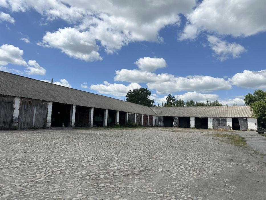 ‼️Продам Ангар, Зерносховище, Склад, с Липовець, Обухівський, Кагарлик