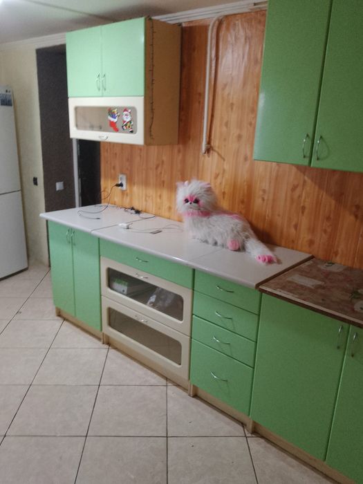 Продам газифікований будинок у с. Пантазіївка