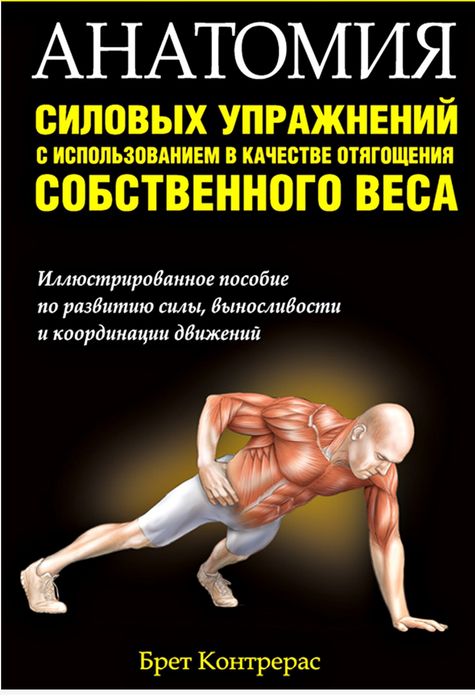 Анатомія фізичних вправ