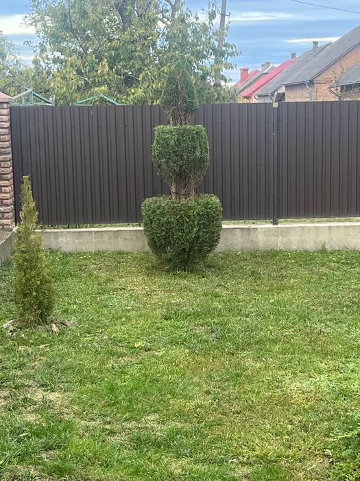 Садовий сервіс, прибирання снігу, топіарна стрижка, покіс газону