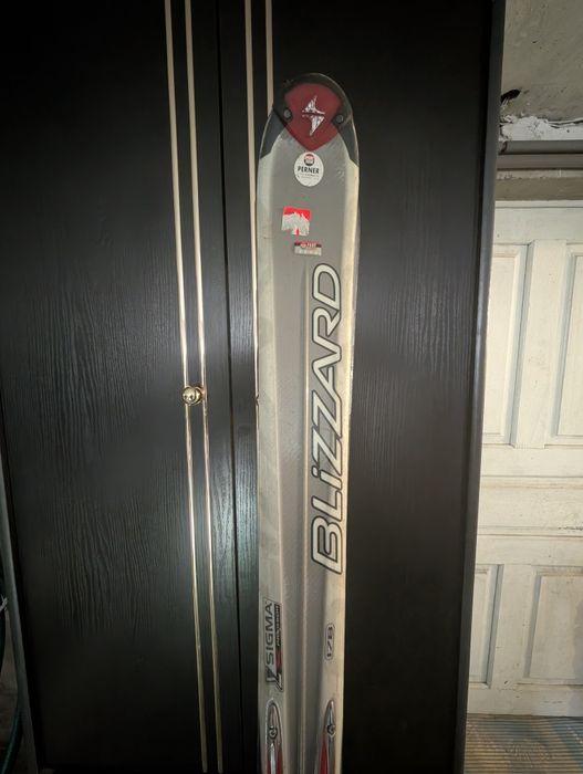 Лижі гірськолижні